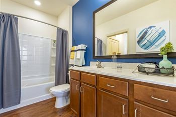 a bathroom with blue and white walls and a white toilet next to a tub with a shower  at Park and Kingston, Charlotte, NC, 28203